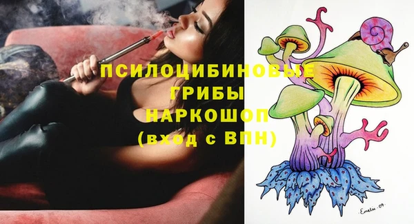 ГАЛЛЮЦИНОГЕННЫЕ ГРИБЫ Верхнеуральск